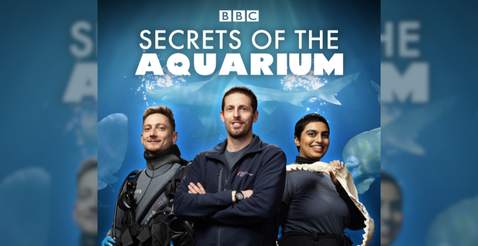 National Marine Aquarium 'Secrets of the Aquarium'